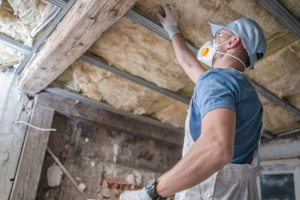 Best Insulation Installation Services in Franklin Park, FL