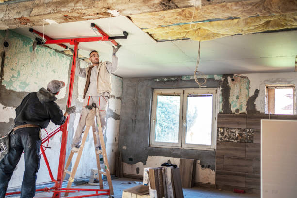 Best Insulation Maintenance and Repair in Franklin Park, FL